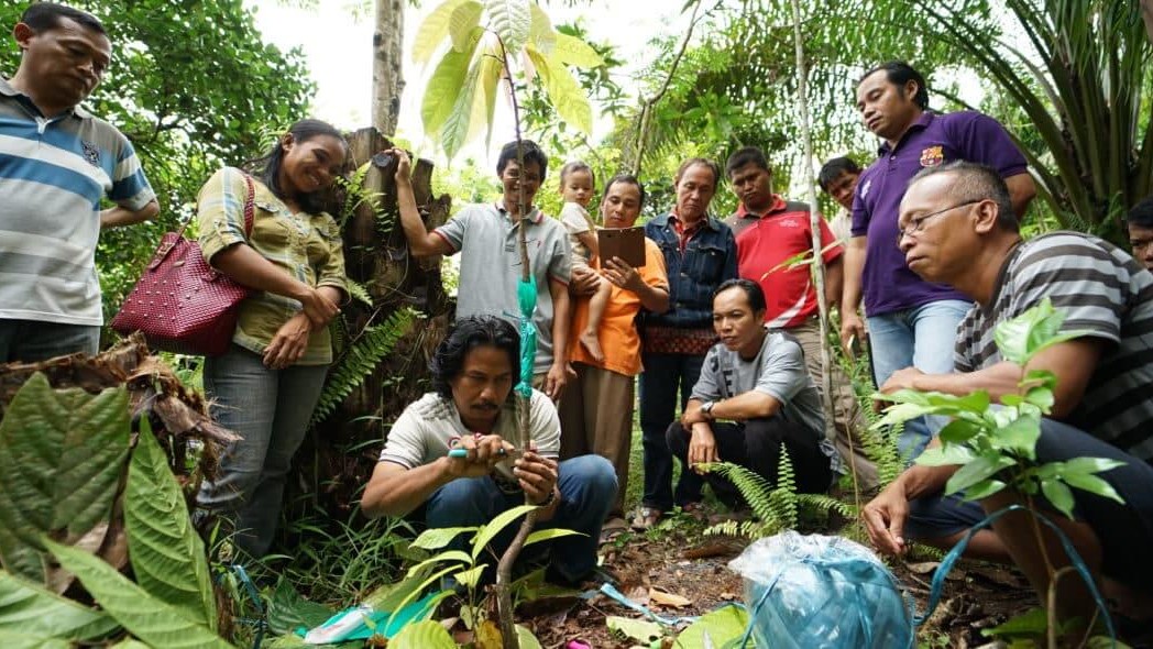Trainier demonstriert Kakaobauern etwas an junger Kakaopflanze