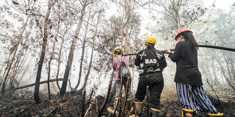 Waldbrände: drei Frauen löschen die letzten Flammen im kahlem Wald