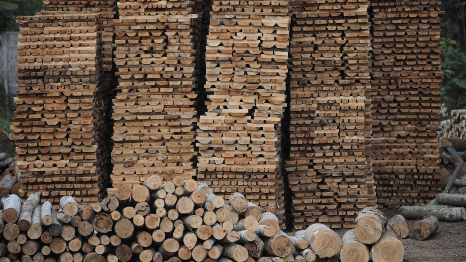 gestapeltes Sengon-Holz