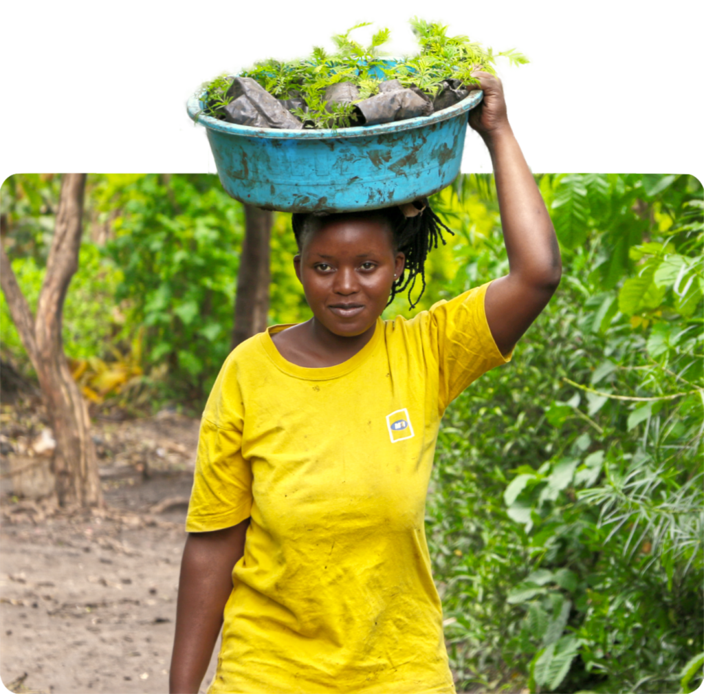 Young farmer woman carries a bowl with seedlings on her head