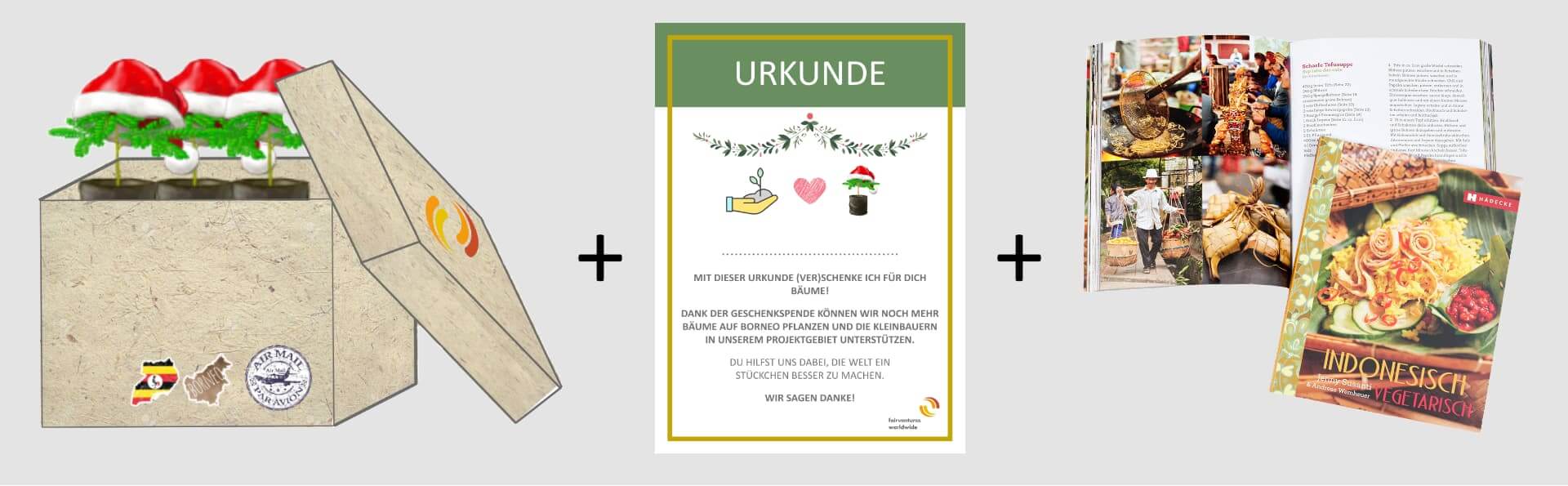 Adventskalender: Geschenkideen: Baum-Urkunde, indonesisches Kochbuch
