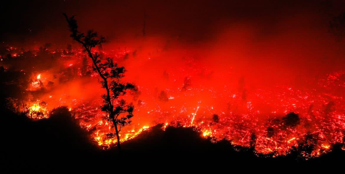Forest burns in red smoke