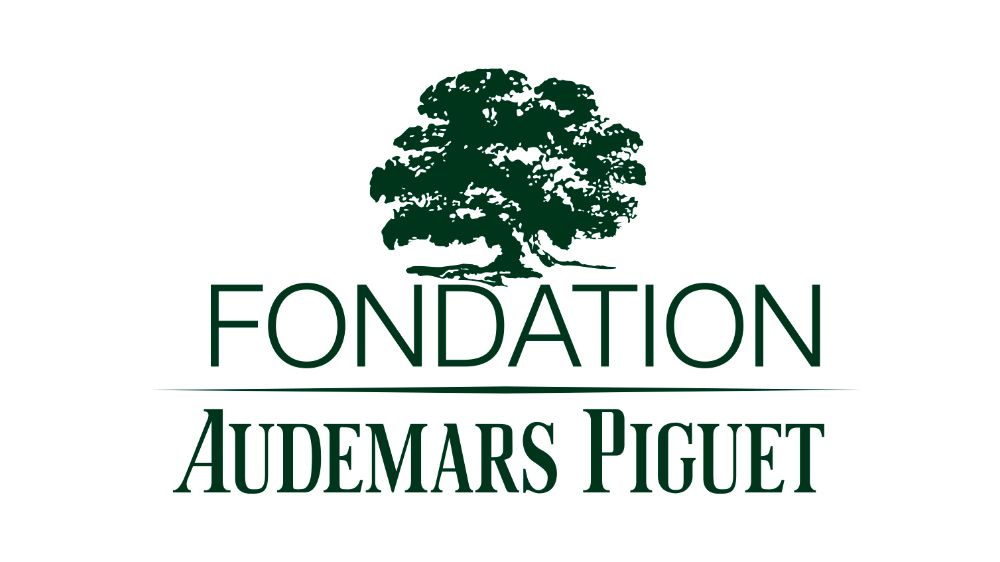 Logo Audemars Piguet Foundation