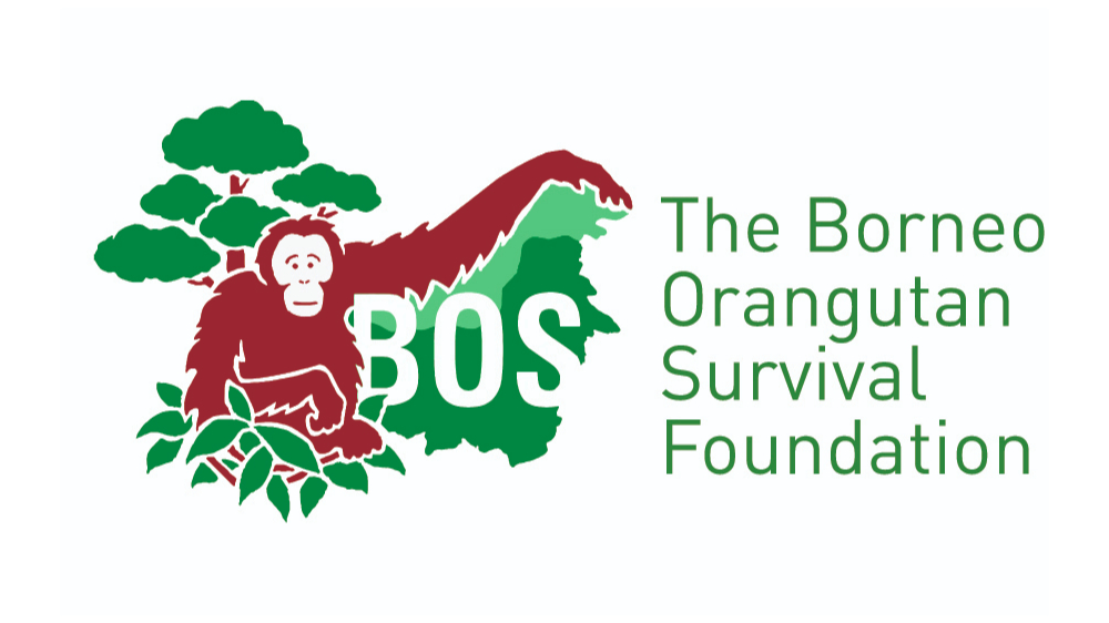 Logo The Borneo Orangutan Survival Foundation