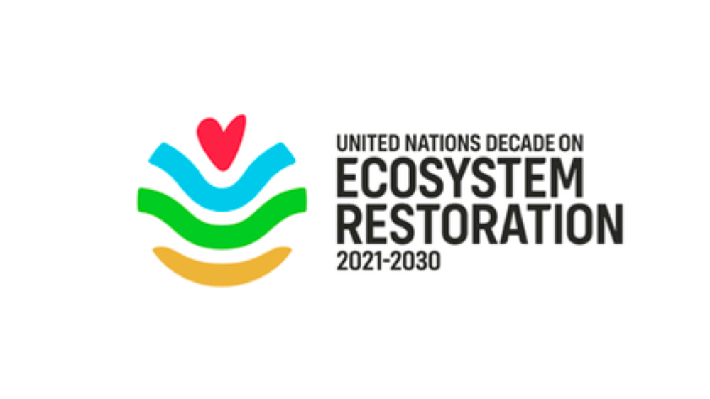 Logo United Nations Decade on Ecosystem Restoration