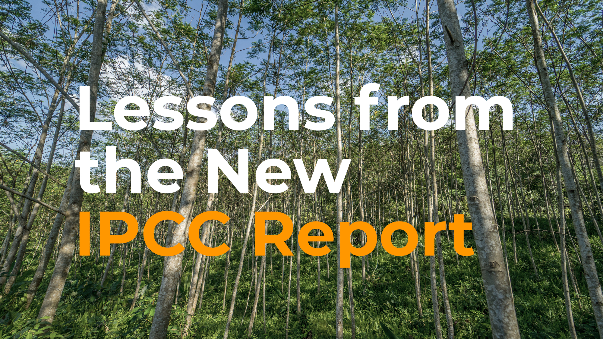 Lessons from the New IPCC Report