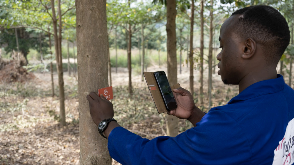 Colleague holds a card to a tree trunk and tries out Treoo app
