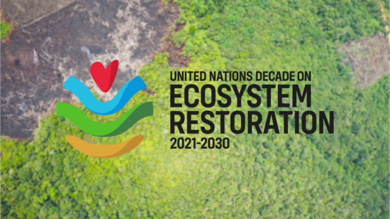 We Are An Official Partner Of The Un Decade On Ecosystem Restoration