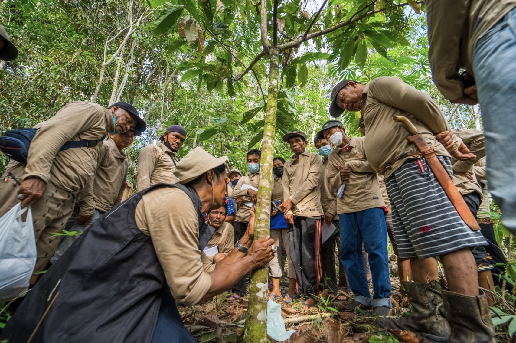 Trainer demonstriert etwas an junger Kakaopflanze