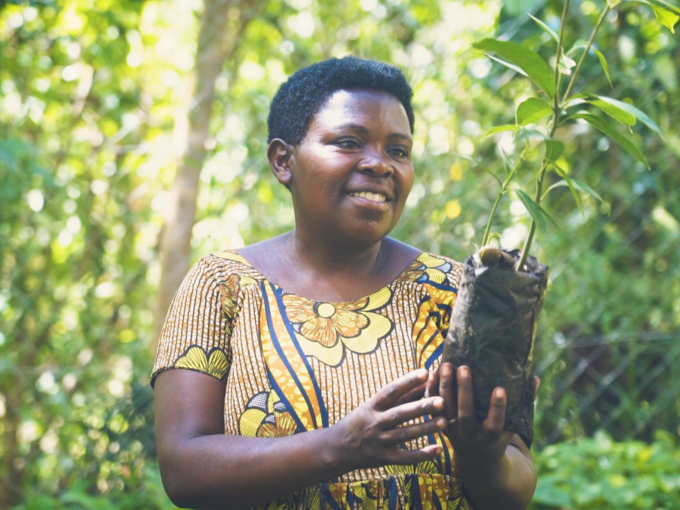 Woman in Uganda holding seedling