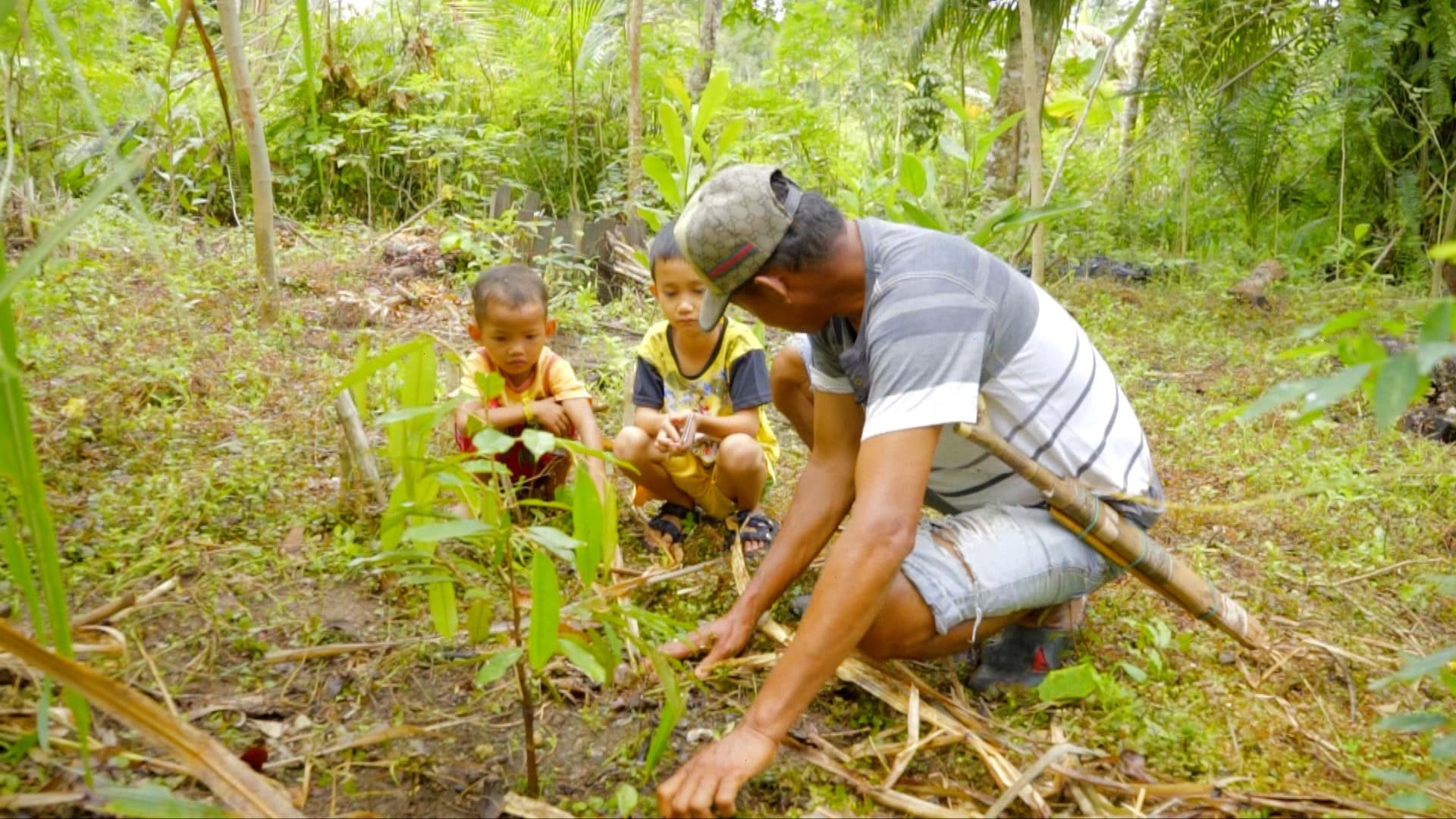 Pasihan zeigt seinen zwei Kinder eine junge Durian-Pflanze