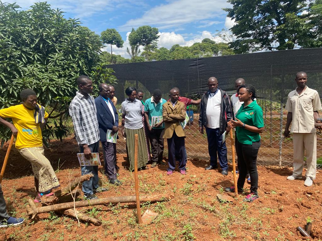 Farmer Field School nach Flut in Uganda