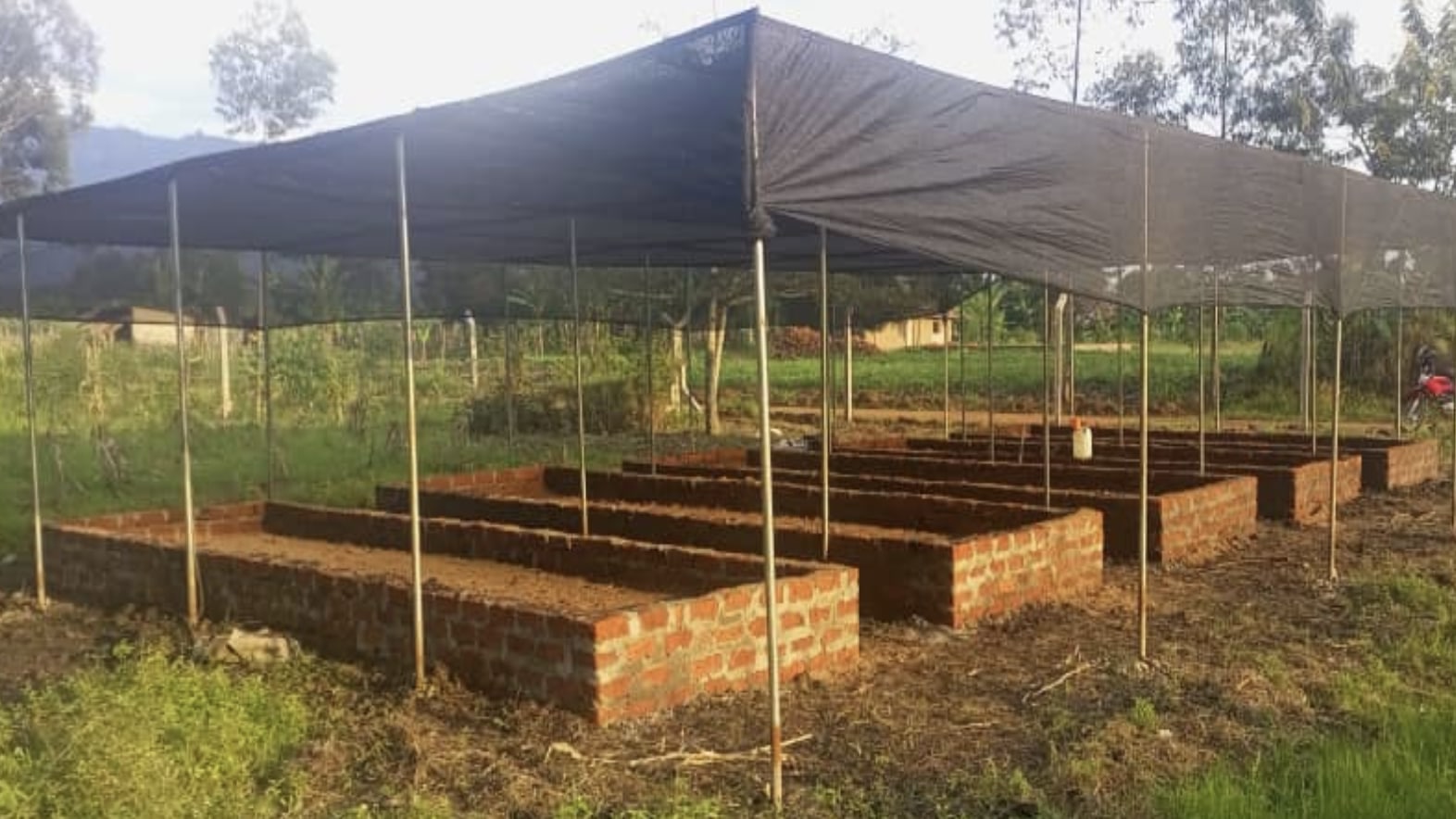 Neue Baumschulen in Uganda