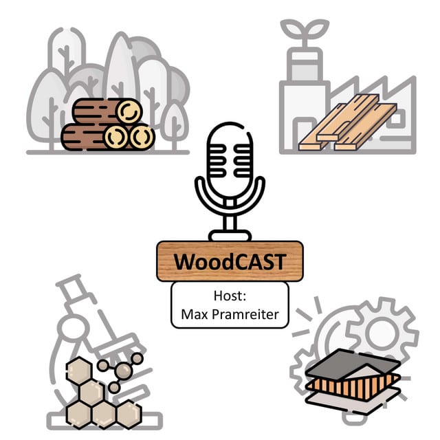 WoodCAST Logo
