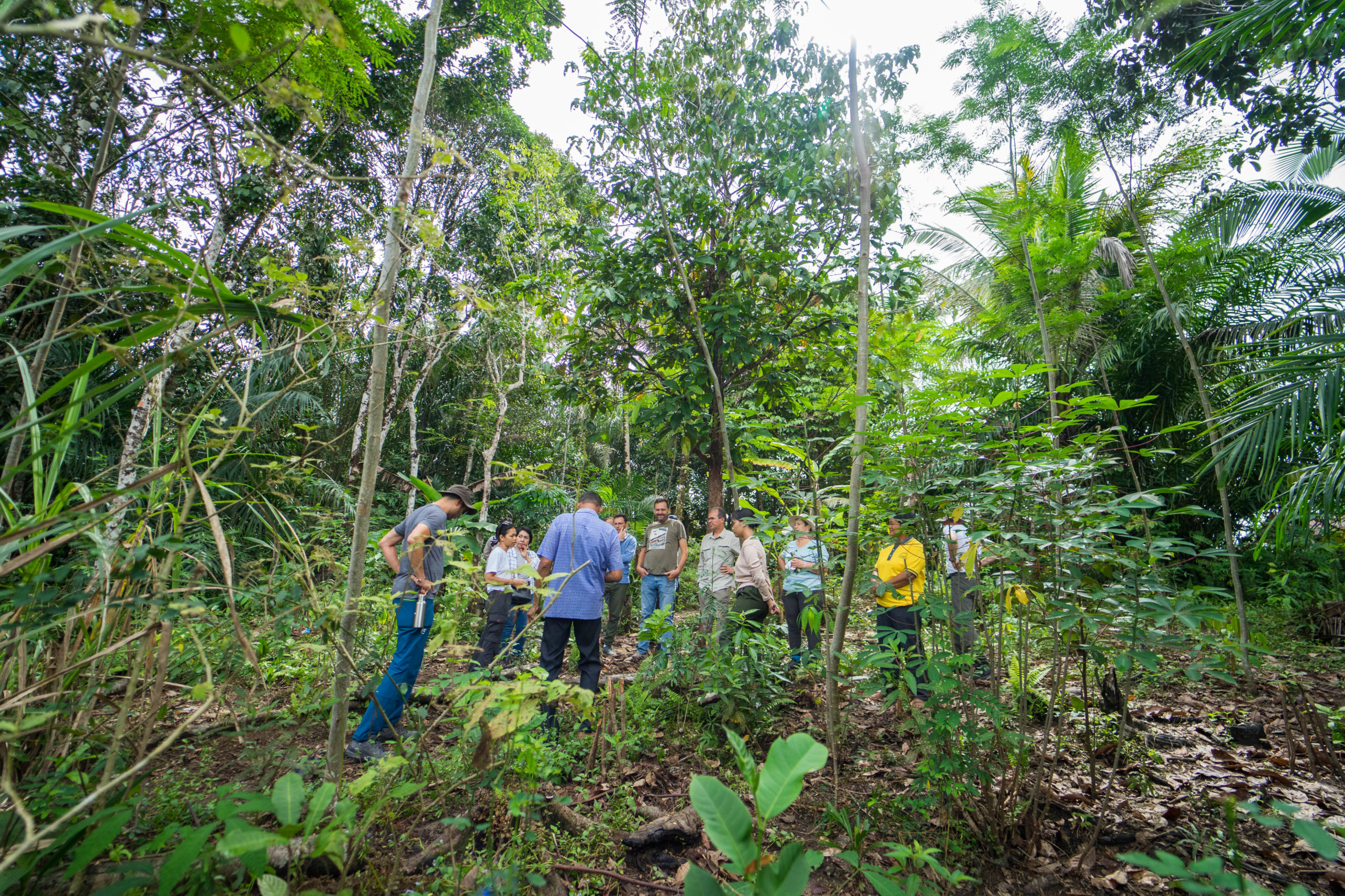 Vertreter von STIHL besuchen gemeinsam mit Mitarbeiterinnen und Mitarbeitern von Fairventures ein Farmer Field in Zentral-Kalimantan, Indonesien.