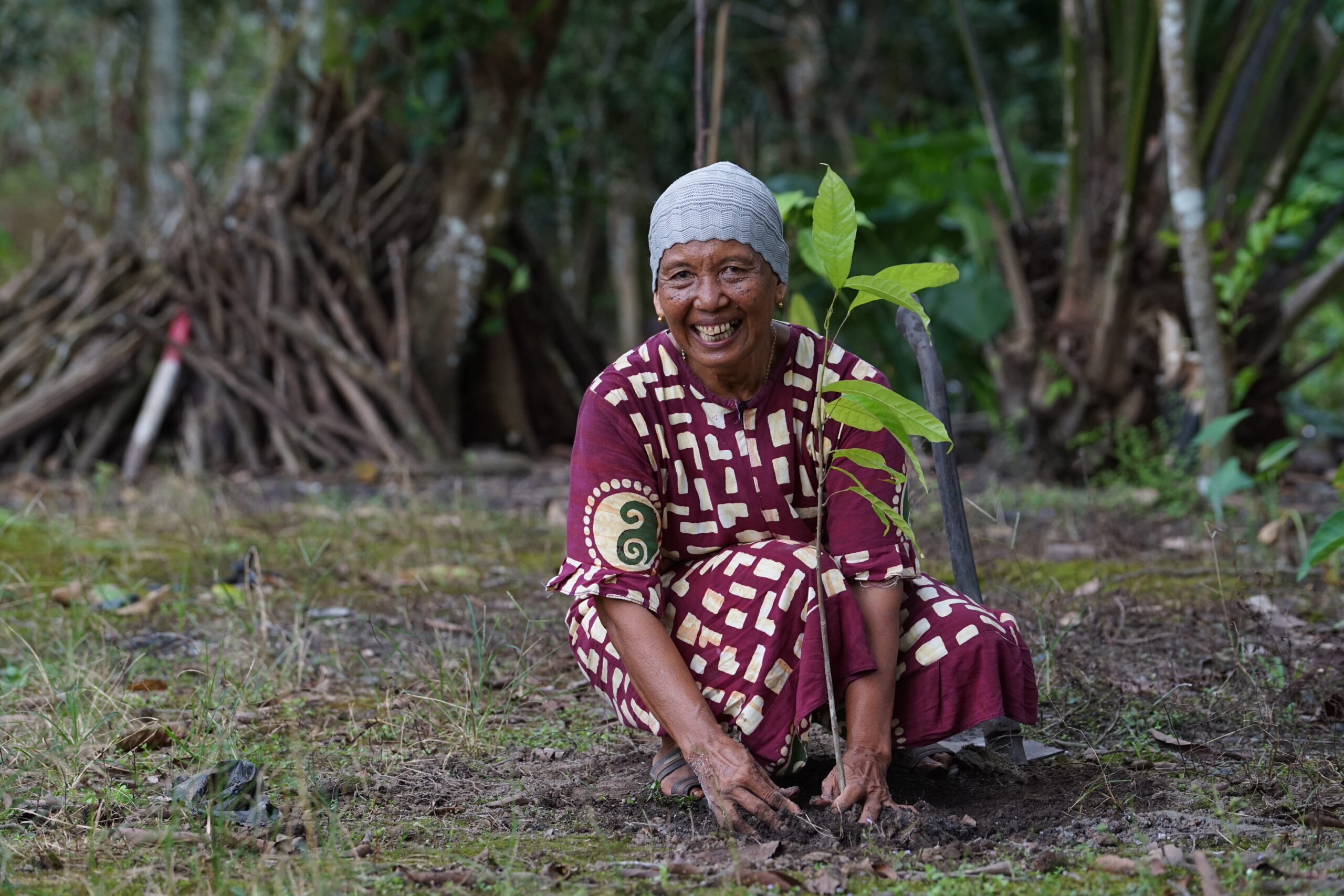 Woman planting a seedling, Pulang Pisau.