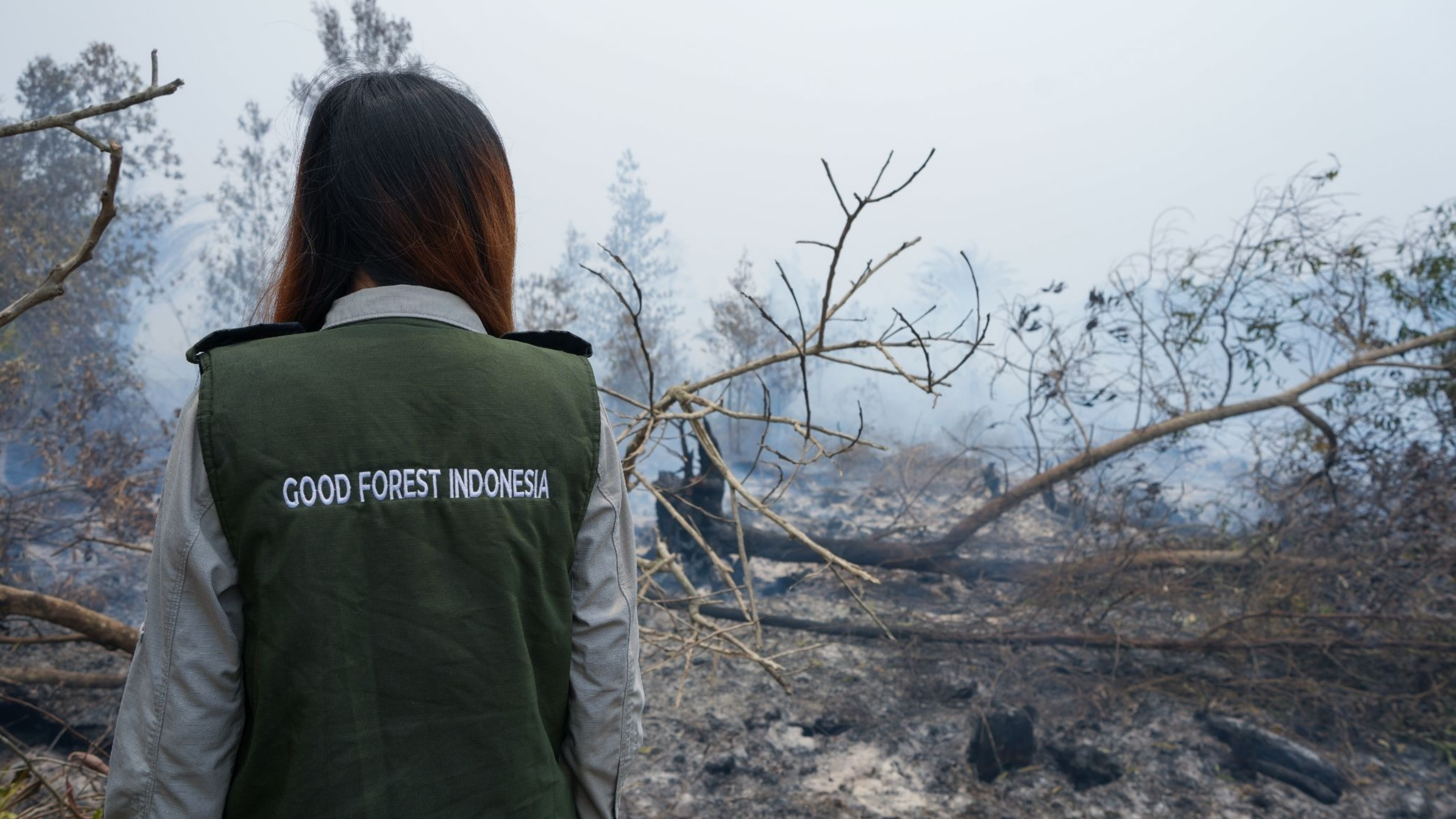 Waldbrand in Kalimantan
