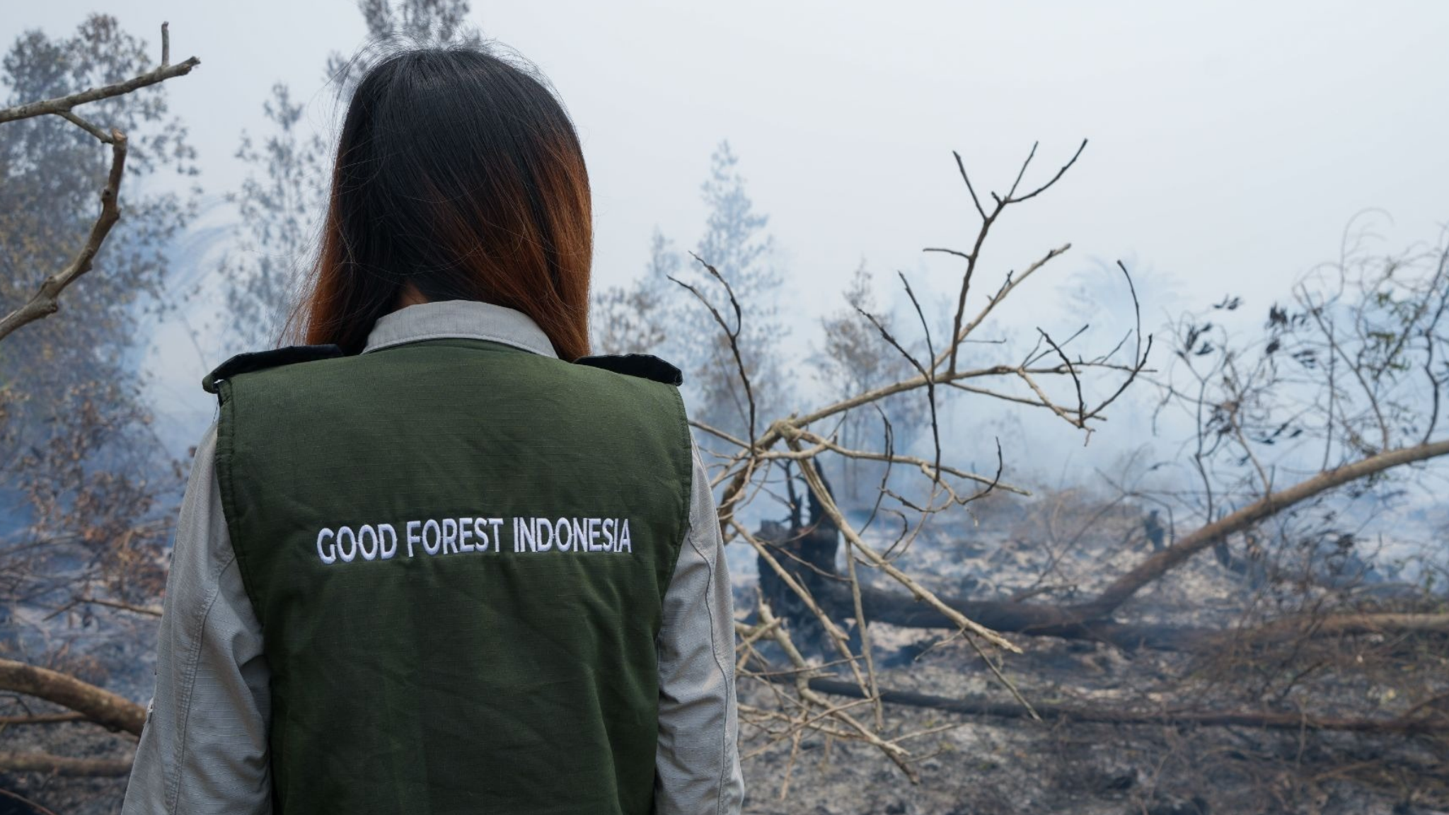 GFI - Forest Fires in Kalimantan