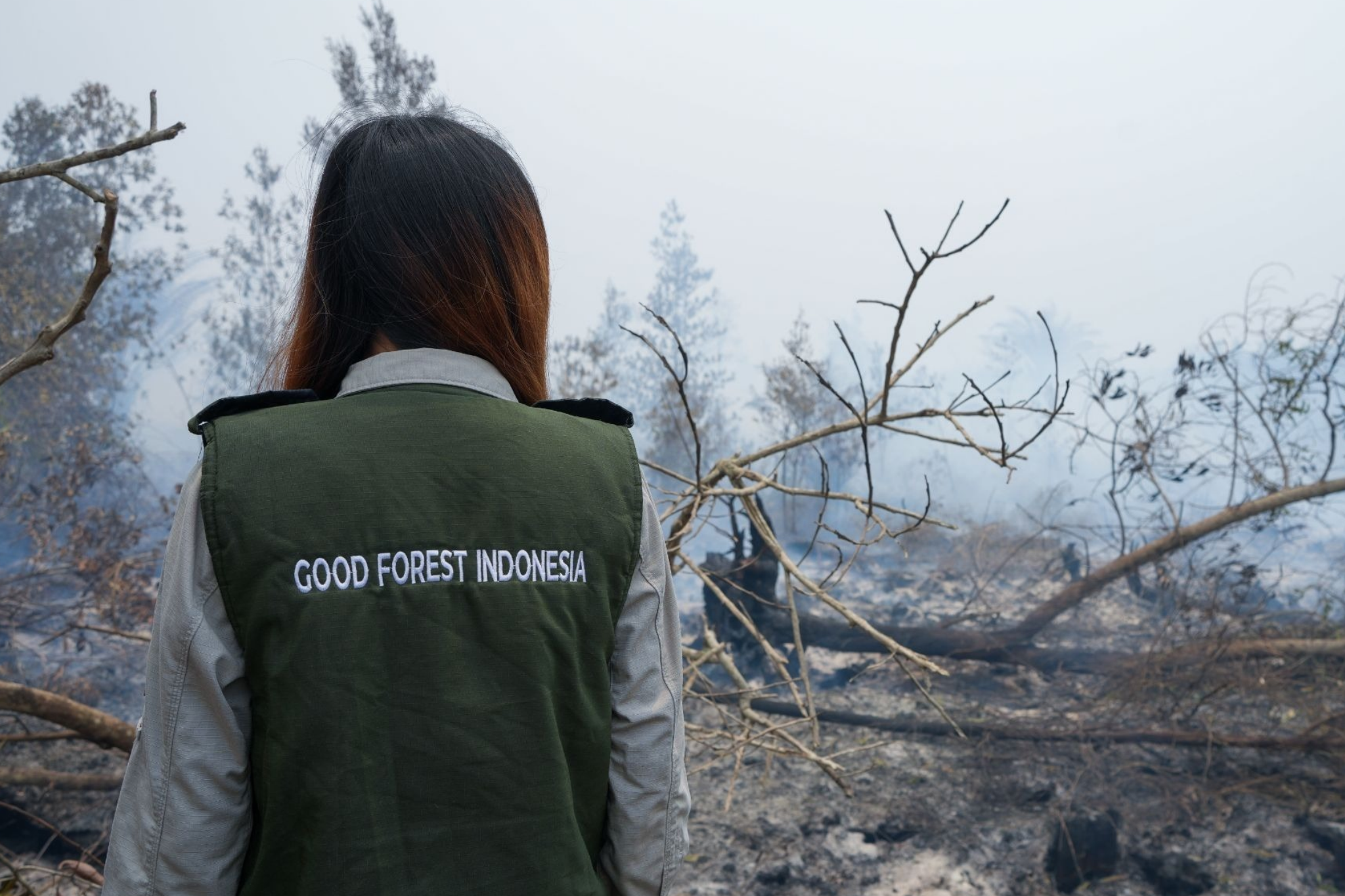 GFI - Waldbrand Kalimantan