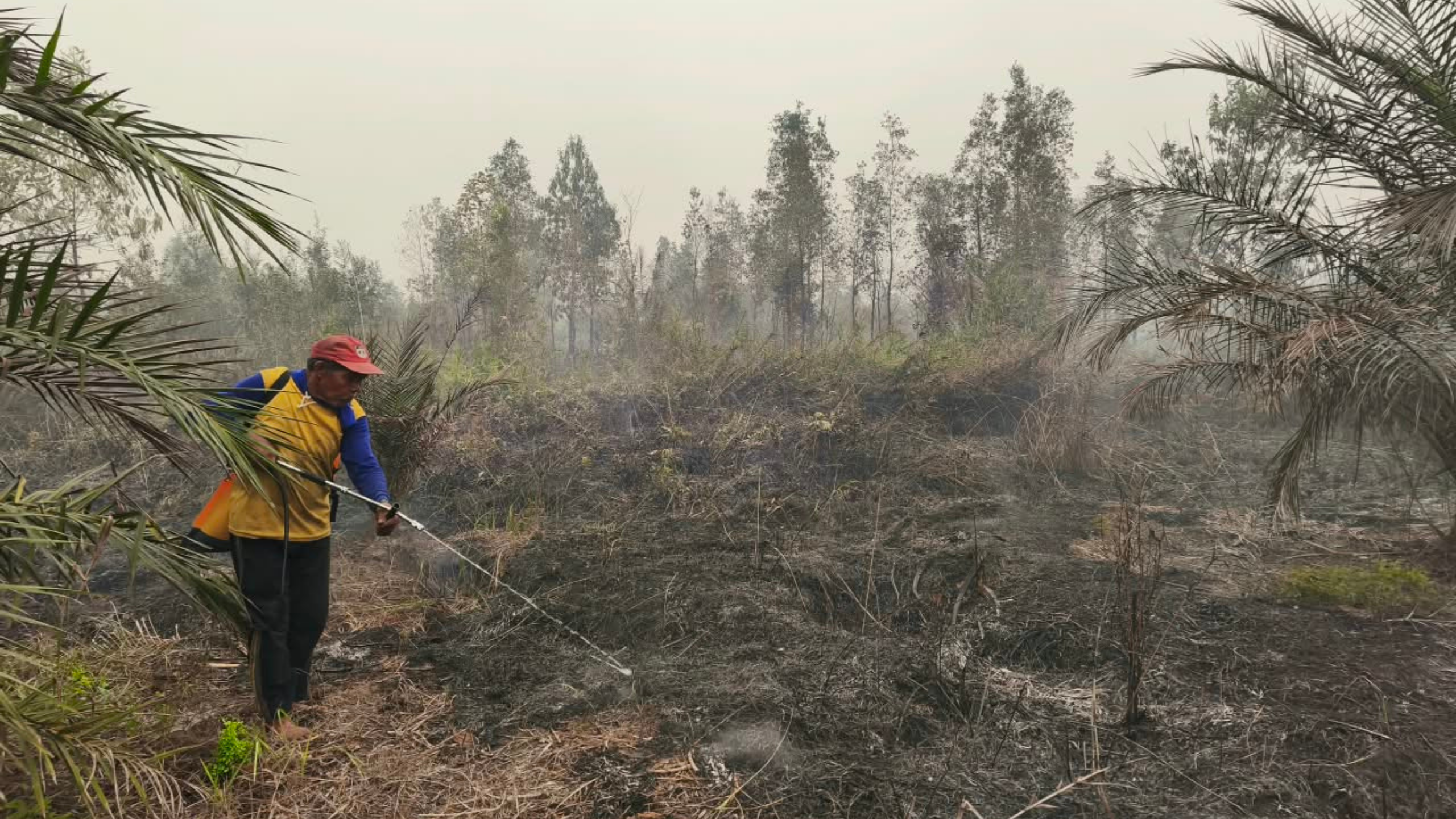 Kleinbauer in Kalimantan versucht das Feuer zu löschen